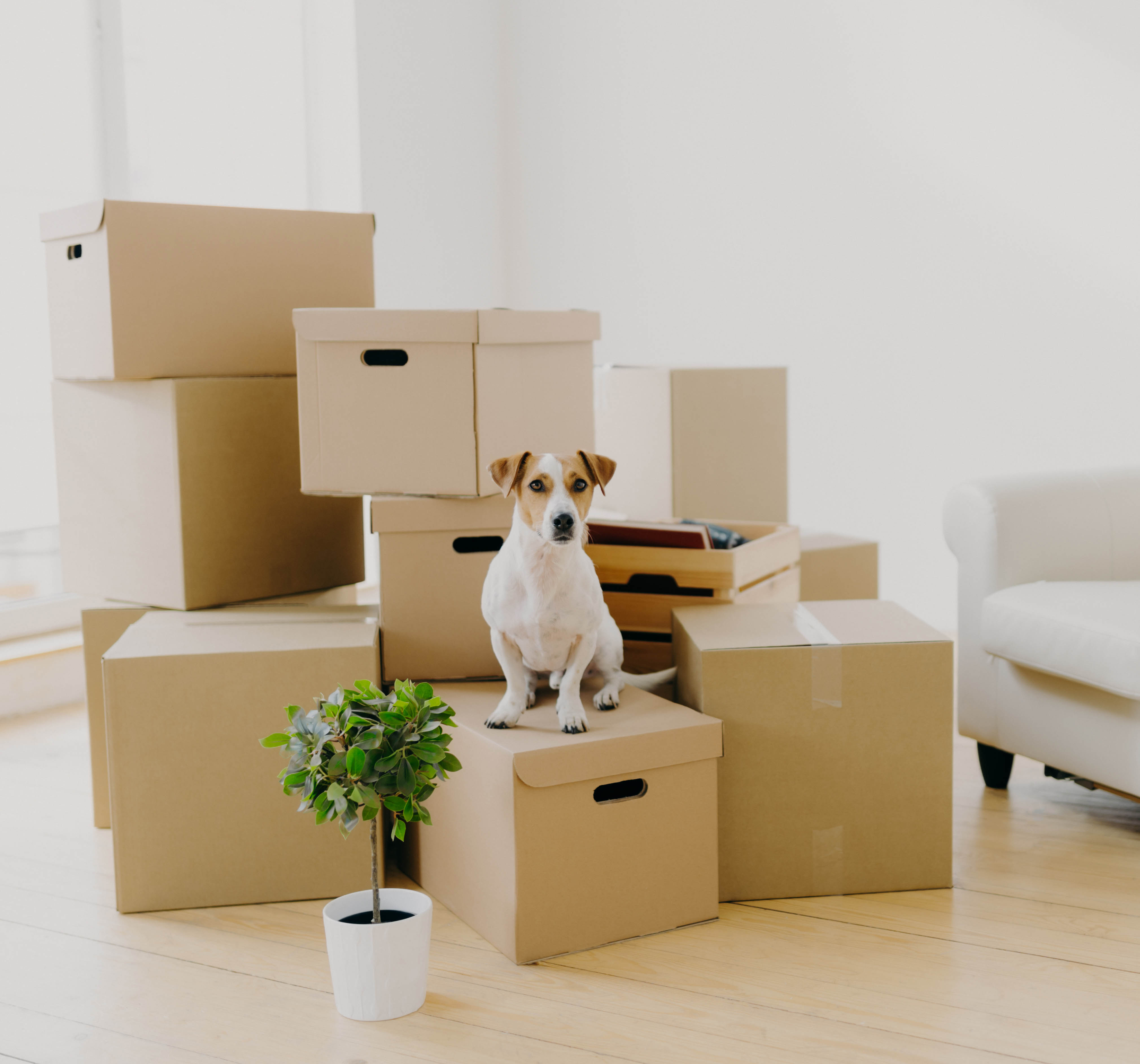 Alles over een woning kopen